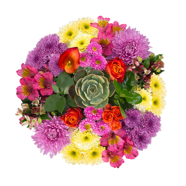 Giant Bloom & Grow June Bouquet