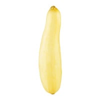 Yellow Squash