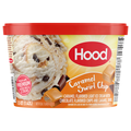 Hood Caramel Swirl Chip Ice Cream