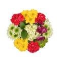 Medley Bouquet