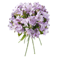 Giant Alstroemeria Lavender