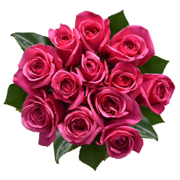 Giant Pink Roses Bunch
