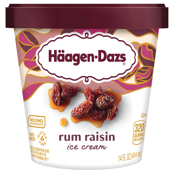 Haagen-Dazs Rum Raisin Ice Cream