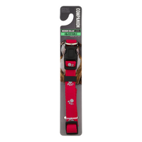 Companion Dog Collar Adjustable Medium 14-20 inch