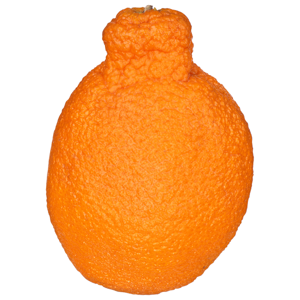 Dekopon Mandarin Oranges