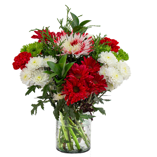Save on Signature Celebrations Christmas Arrangement Order Online