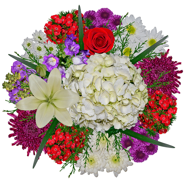 Our Brand Delightful Bouquet (Colors May Vary)