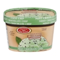 Klein's Real Kosher Non Dairy Mint Chocolate Chip Frozen Dessert