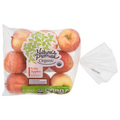 Nature's Promise Organic Gala Apples Bag