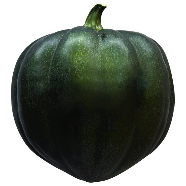 Acorn Squash