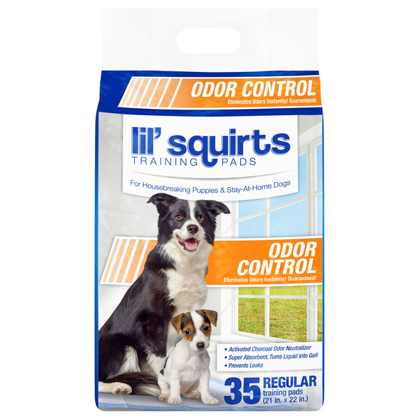 Ruffin' It Lil' Squirts Odor Control Training Pads 21 x 22 Inch