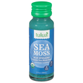 Tulua Organic No Added Sugar Blue Spirulina Sea Moss Shot Refrigerated