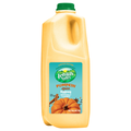 Lehigh Valley Dairy Farms Pumpkin Spice Eggnog