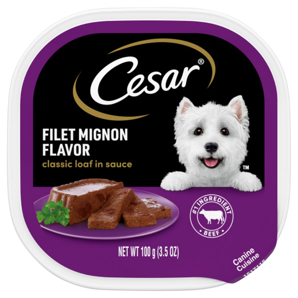 CESAR Classic Loaf in Sauce Filet Mignon Flavor Adult Wet Dog Food