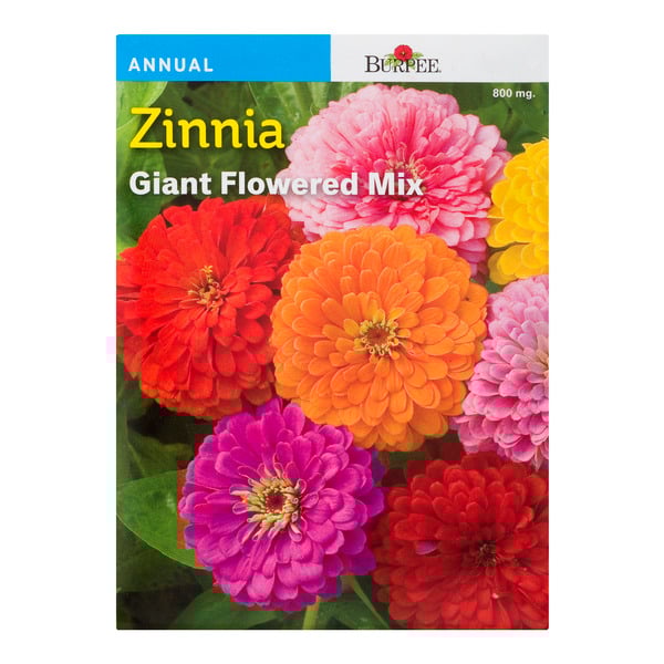 Burpee Annual Zinnia Giant Flowered Mix