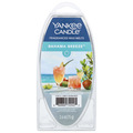 Yankee Candle Bahama Breeze Fragranced Wax Melts