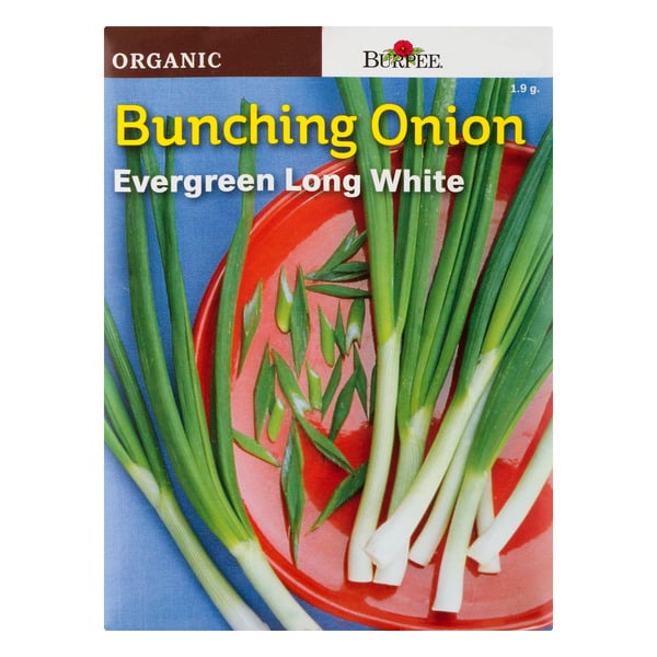 Burpee Vegetable Bunching Onion Evergreen Long White Organic