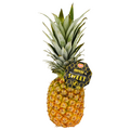 Del Monte Whole Honeyglow Sweet Pineapple