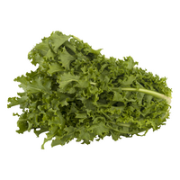 Chicory Curly Endive