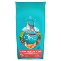 Purina ONE Tender Selects Blend Natural Real Salmon Adult Dry Cat Food