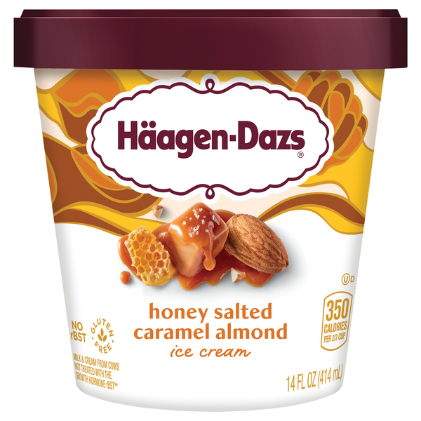 Haagen-Dazs Honey Salted Caramel Almond Ice Cream