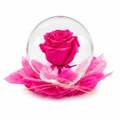 Rose Globe Pink