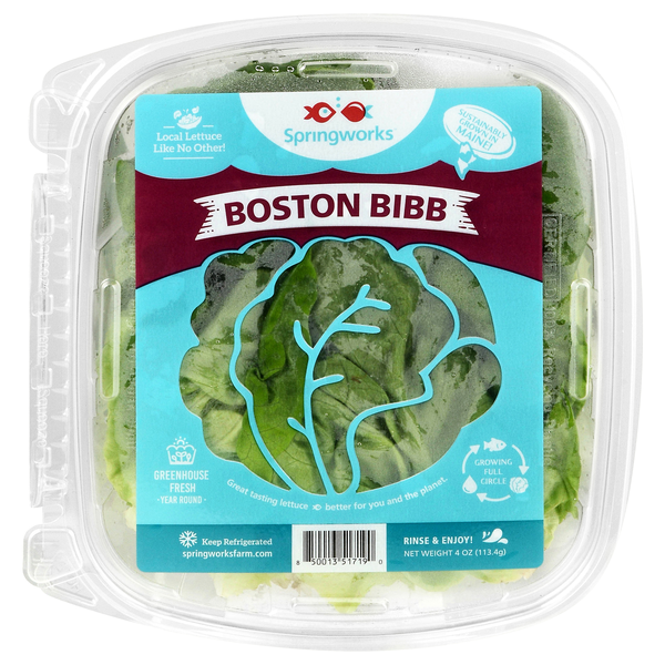 Springworks Boston Bibb Lettuce