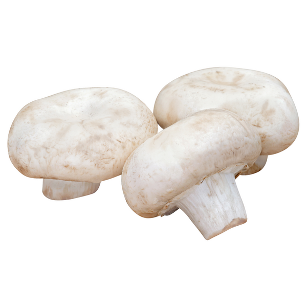 White Mushrooms