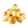 Vidalia Sweet Onions Bag