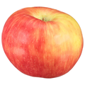 Honeycrisp Apples