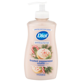 Dial Anti-Bacterial Frosted Peppermint Cookie Hand Soap