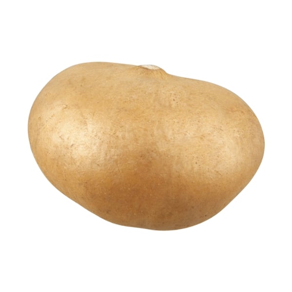 Save on Jicama Order Online Delivery Food Lion