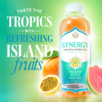 GT's Synergy Island Bliss Raw Kombucha | Food Lion