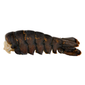 Giant Wild Caught Lobster Tail Frozen