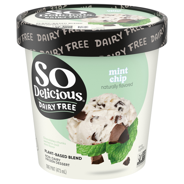 So Delicious Dairy Free Mint Chip Coconutmilk Frozen Dessert