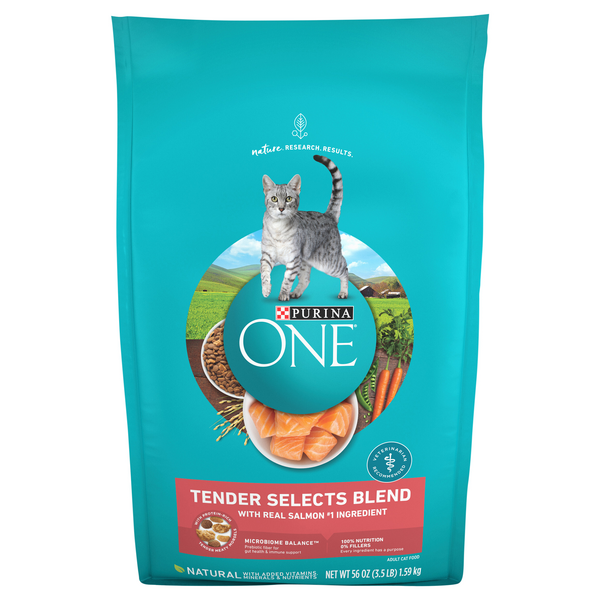 Purina ONE Tender Selects Blend Natural Real Salmon Adult Dry Cat Food
