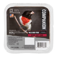 Companion Berry Suet Cake Wild Bird Food