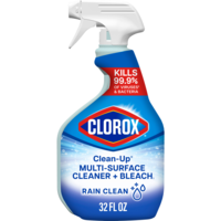 Clorox Clean-Up Rain Clean Cleaner + Bleach Trigger Spray