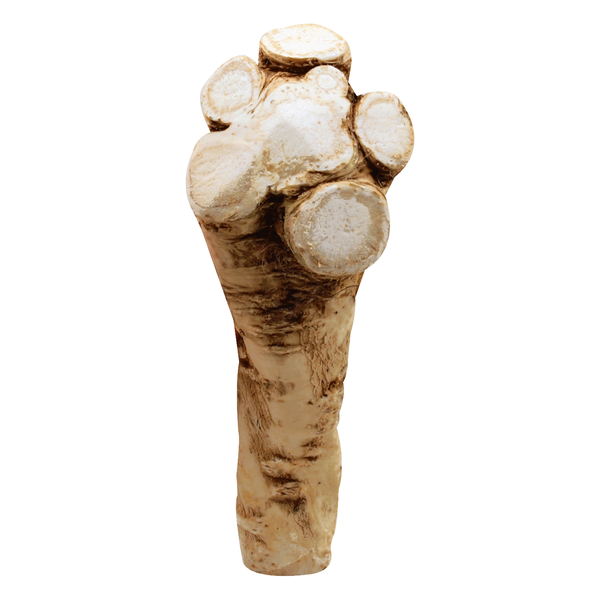 Horseradish Root