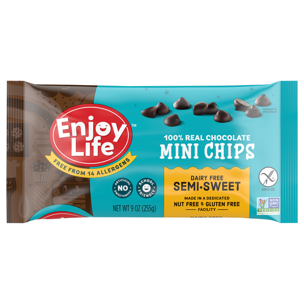 Enjoy Life Dairy Free Vegan Semi-Sweet Real Chocolate Mini Chips