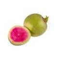 Watermelon Radishes