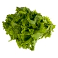 Organic Green Leaf Lettuce