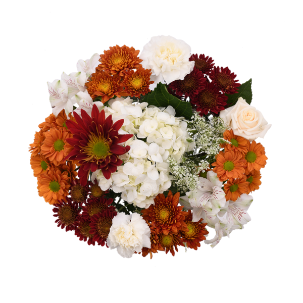 Giant Cappuccino Bouquet