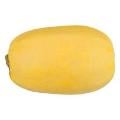 Spaghetti Squash