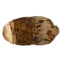 Malanga Coco (Yautia)