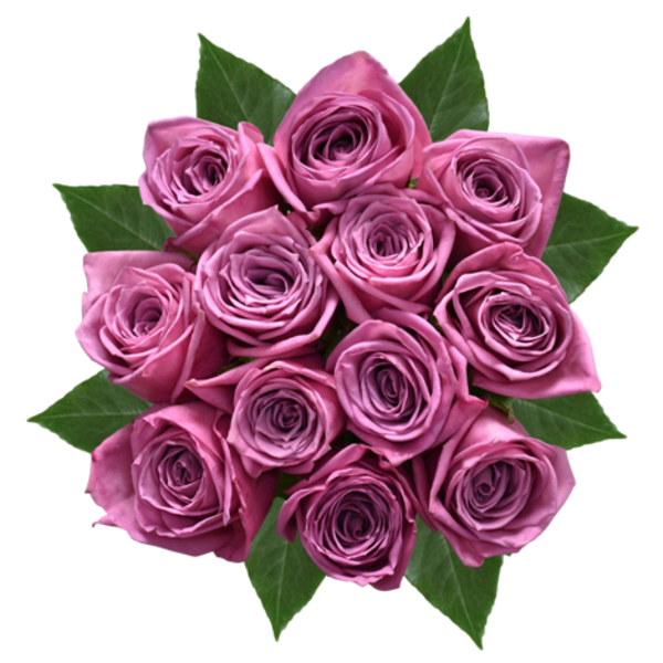 Giant Lilac Roses Bunch