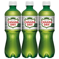 Canada Dry Zero Sugar Ginger Ale Soda Caffeine Free - 6 pk