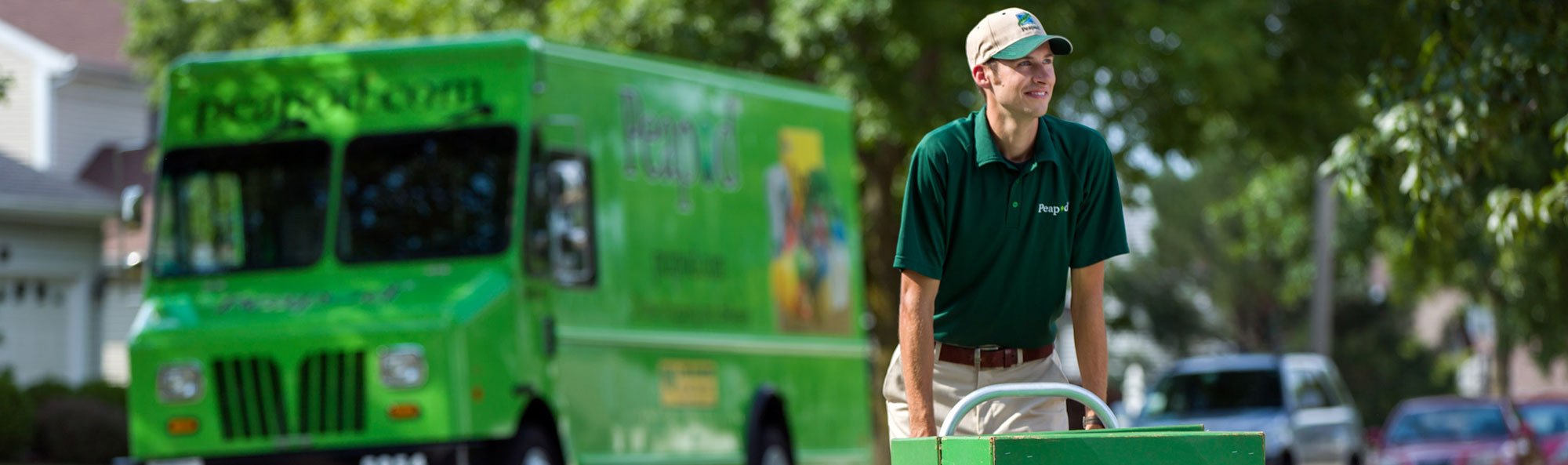 grocery delivery service online grocery ordering peapod