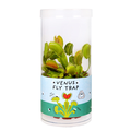 Venus Fly Trap 3 Inch