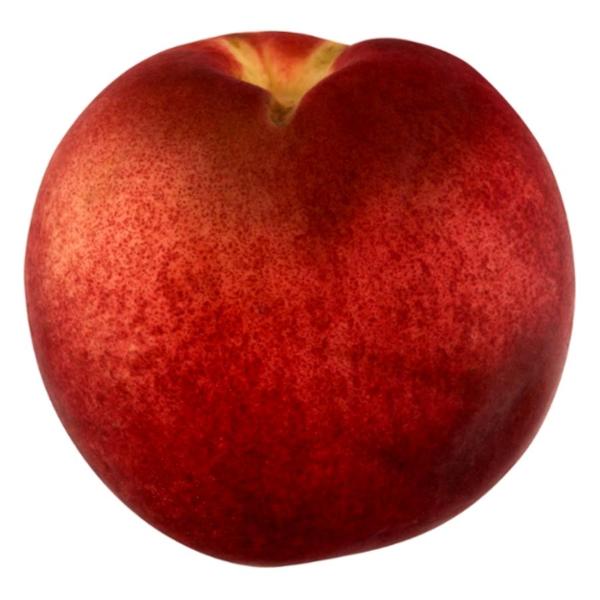 White Flesh Nectarines